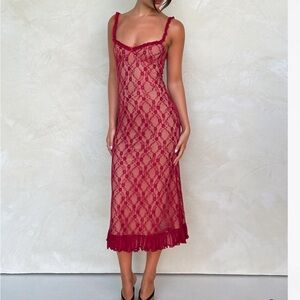 Tiger Mist Scarlet Lace Top